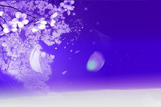 2024桂林学院录取分数线