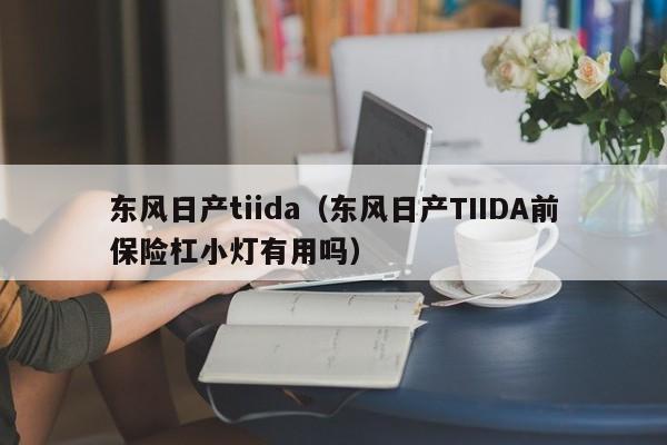 东风日产tiida（东风日产TIIDA前保险杠小灯有用吗）