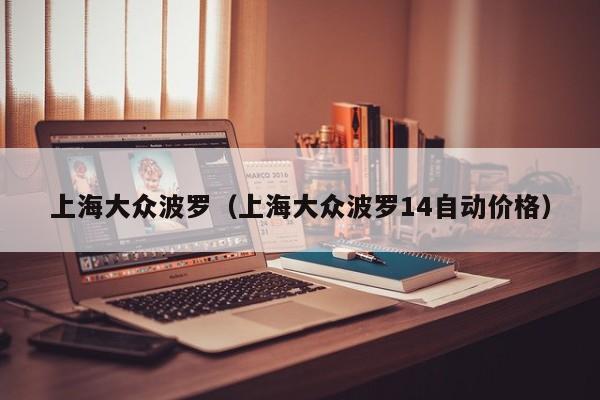上海大众波罗（上海大众波罗14自动价格）