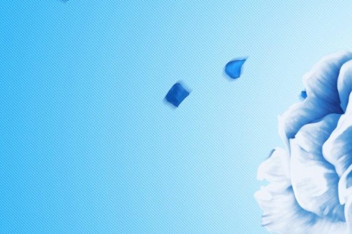 2024年广东职业技术学院招生章程