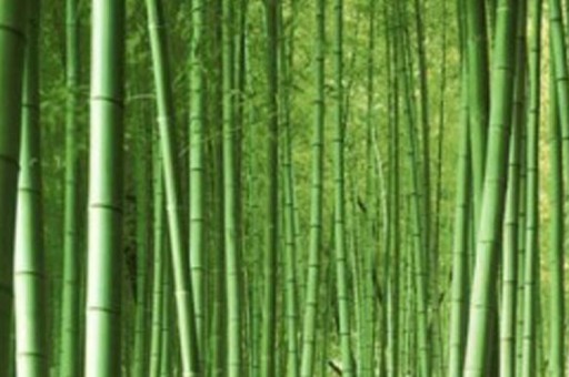 广州工商学院近三年在贵州录取分数线(含2021