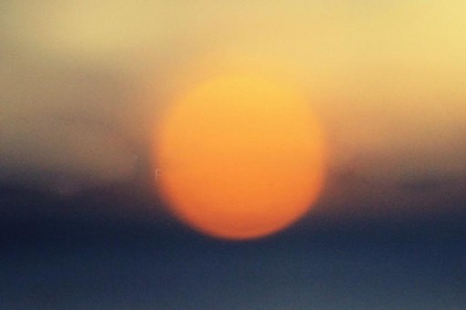 2024年山东第二医科大学在广东计划招生人数(附学费及专业录取分)