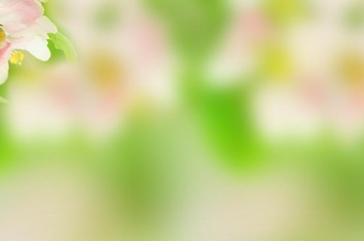 电子科技大学中山学院近三年在内蒙古录取分数线(含2021