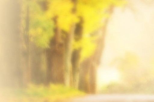 世界上10种最危险的蛇