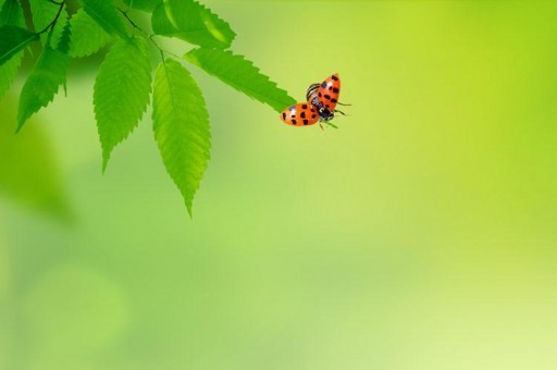 广州南洋理工职业学院近三年在河北录取分数线(含2022
