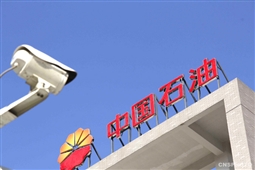 q油性能怎样
