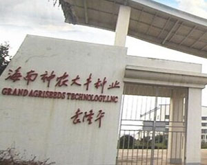 如何评价神行者油版