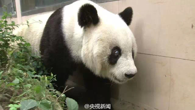 如何评估上海众国宝泓的服务水平